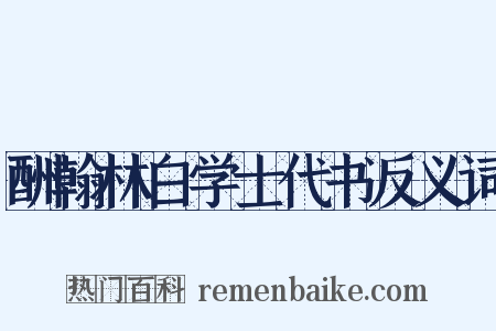 酬翰林白学士代书反义词是什么意思的图片